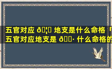 五官对应 🦊 地支是什么命格「五官对应地支是 🕷 什么命格的人」